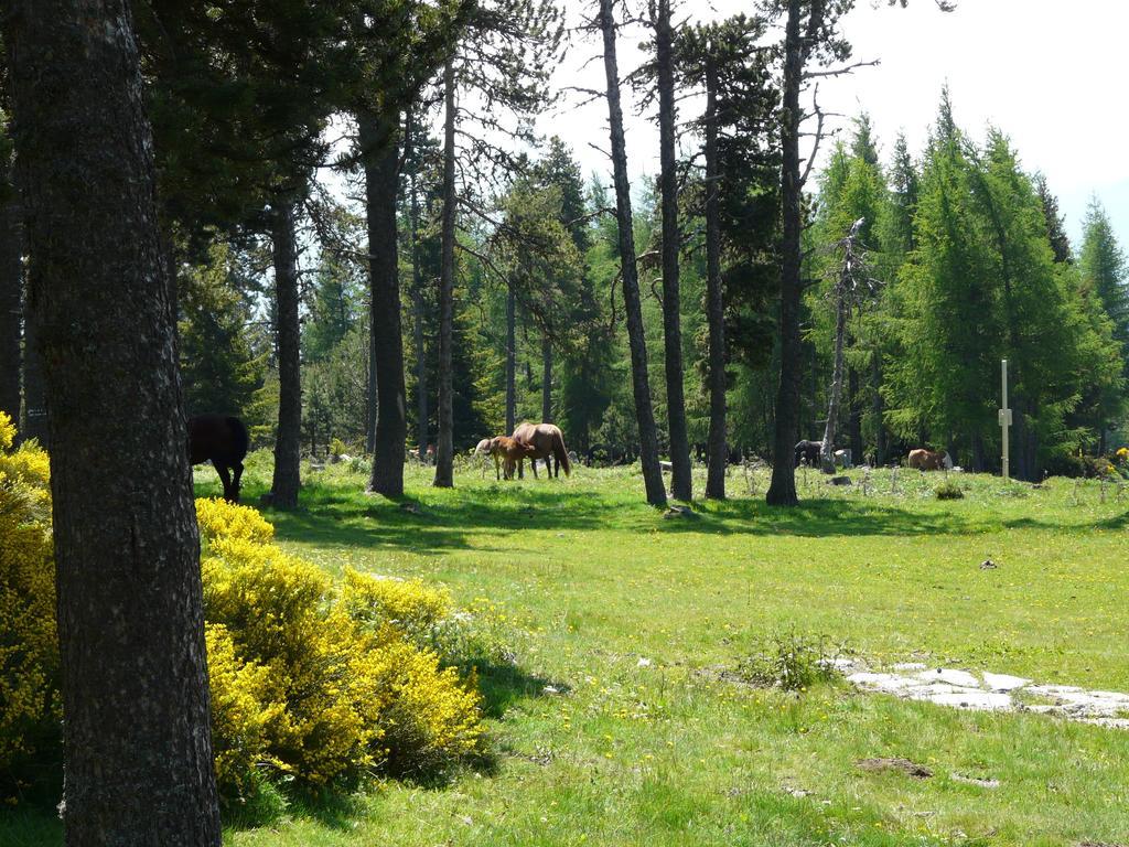 Apartamento Font Romeu Via Habitación foto